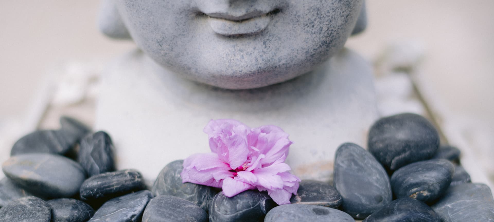 Galets noirs et fleur violette pour un massage aux pierres chaudes à Lyon